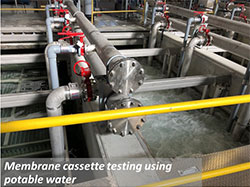 Membrane cassette testing using potable water