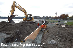 Team restoring the seawall