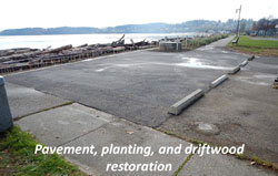 Pavement, planting, and driftwood restoration
